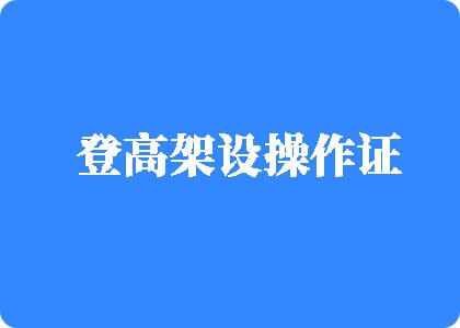 n日本一骚登高架设操作证